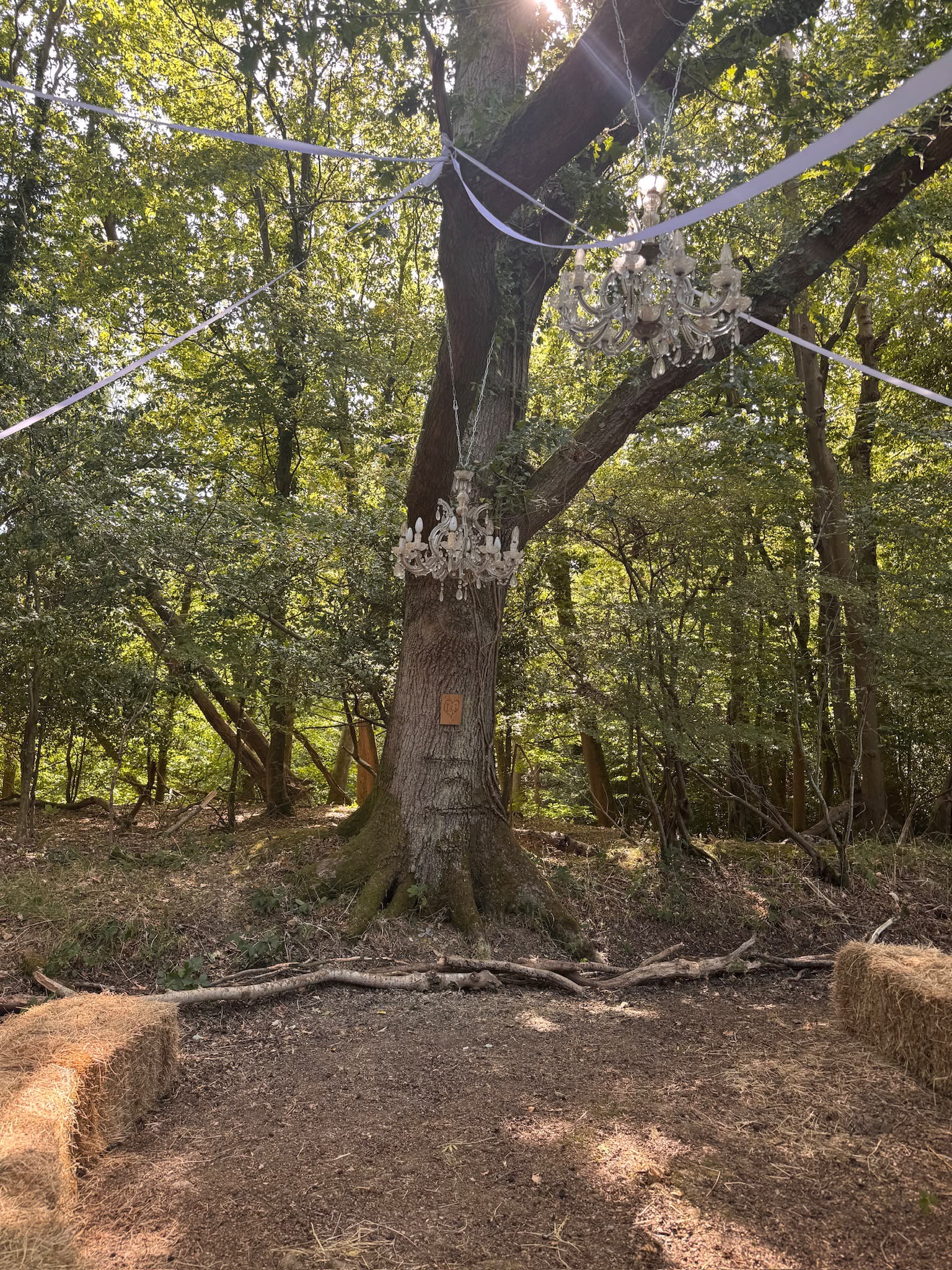 A woodland wedding ceremony space with chandeliers